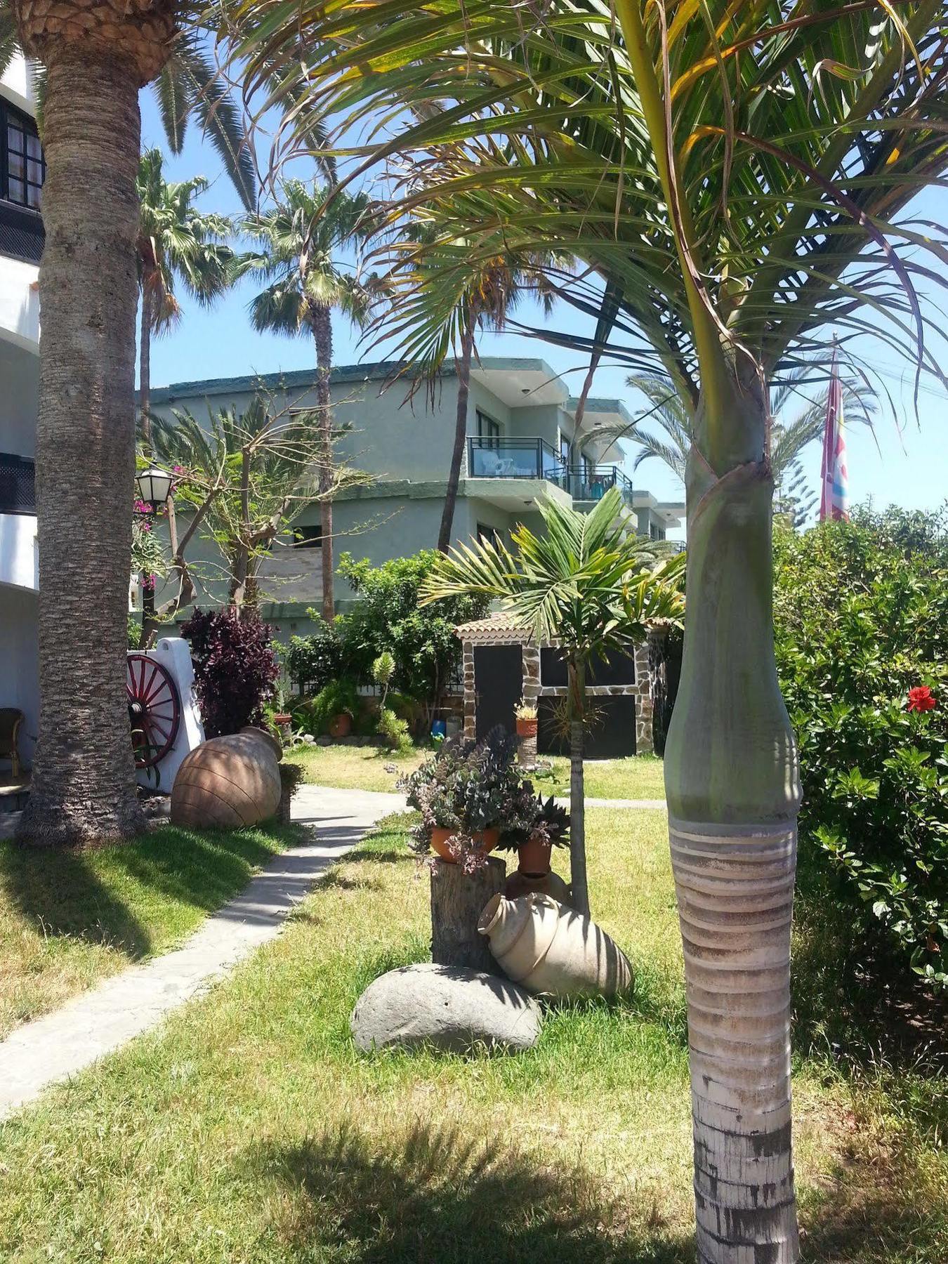 Apartamentos El Chaparral Playa del Ingles  Ngoại thất bức ảnh